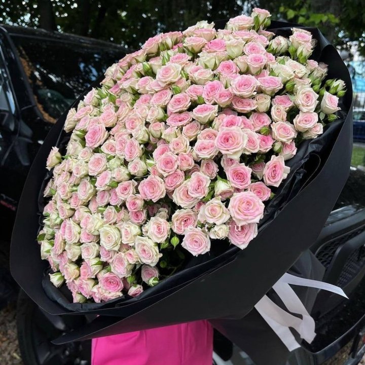 101 кустовая роза "Твистер" в Кирове