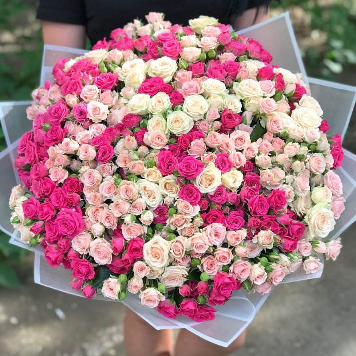 101 кустовая роза в Кирове