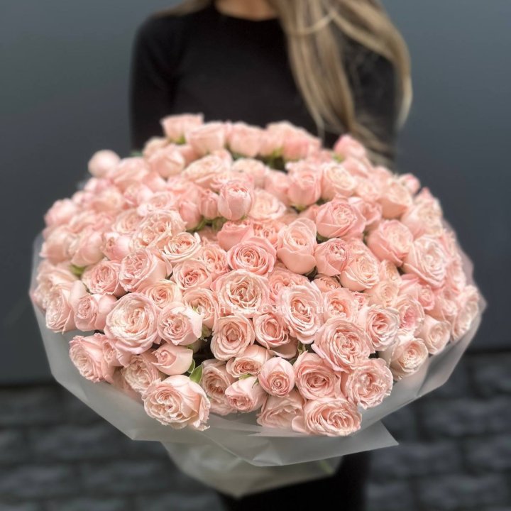 51 кустовая роза Бомбастик в Кирове