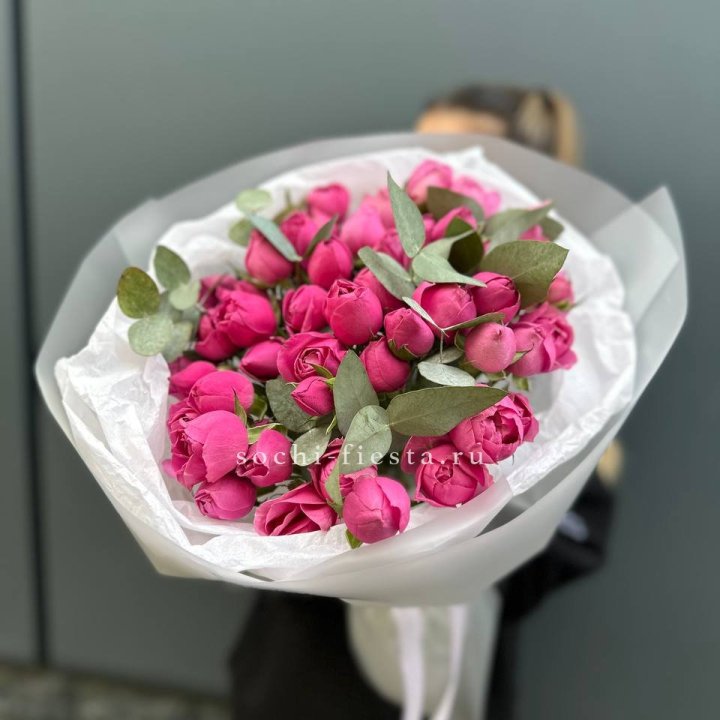 17 Мисти бабблс в Кирове