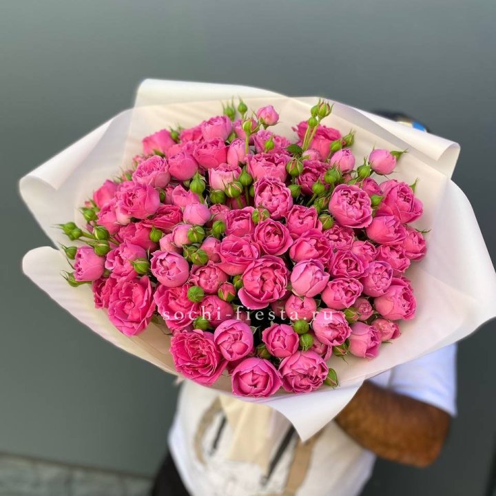 Мисти Баблс 35шт в Кирове