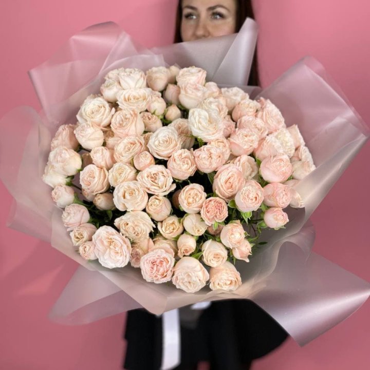 Carina в Кирове