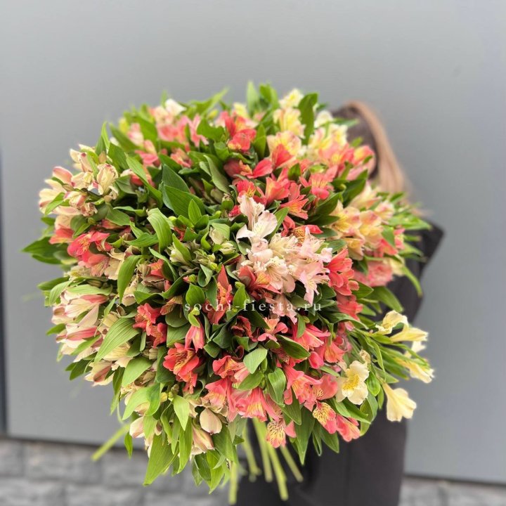 51 альстромерия в Кирове