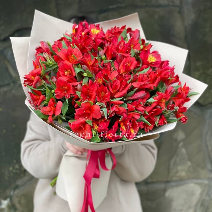 51 альстромерия в Кирове