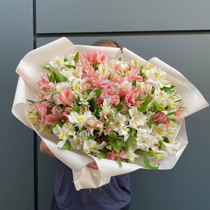 39 альстромерий в Кирове