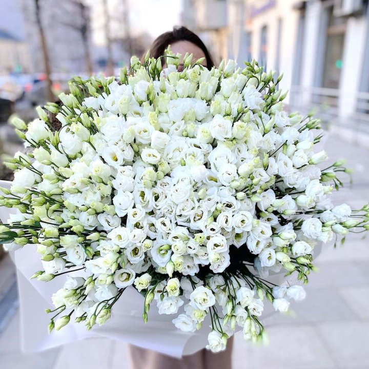 101 белая эустома в Кирове