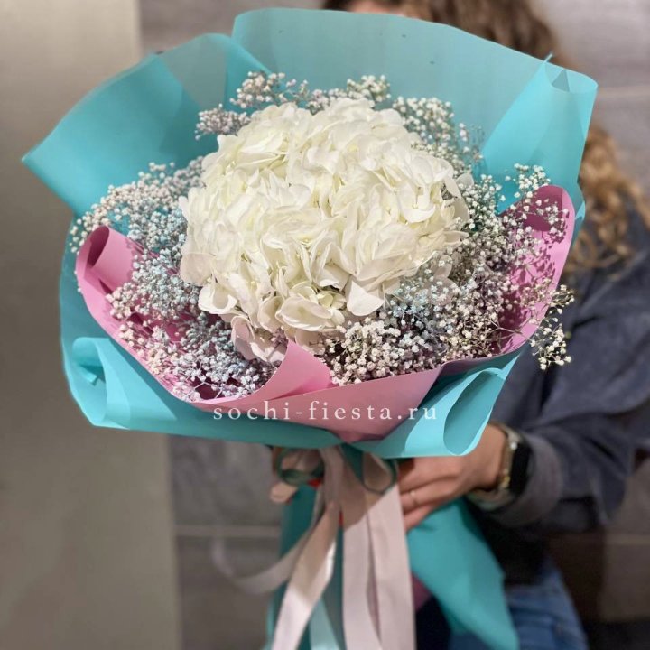 Гортензия "Райдов" в Кирове