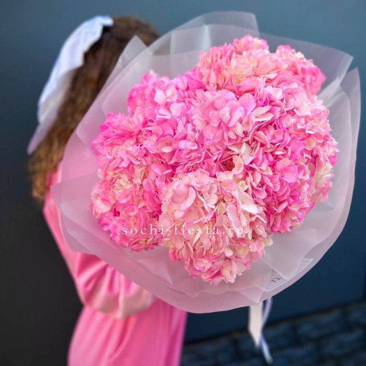 7 ярко розовых гортензий в Кирове