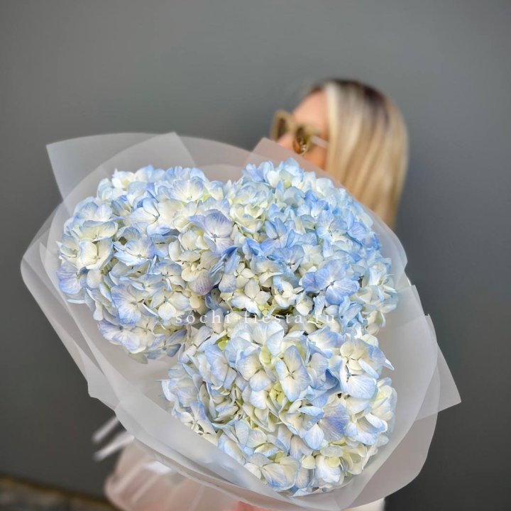 Букет из 3 голубых гортензий  в Кирове