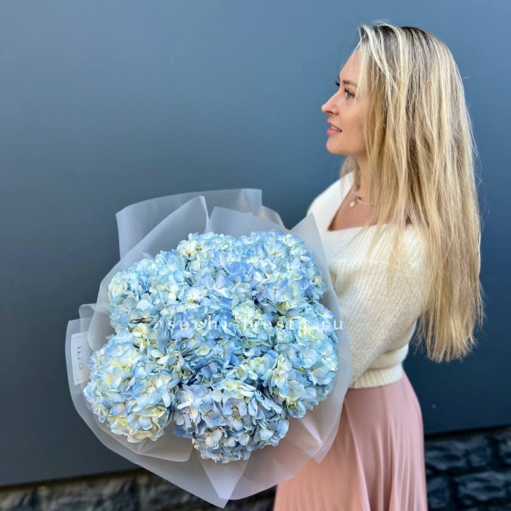 7 голубых гортензий в Кирове