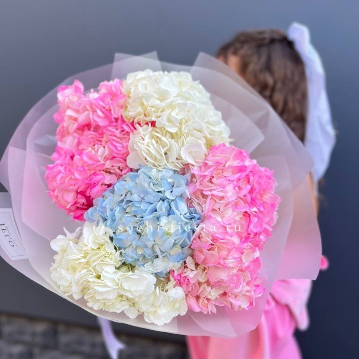 7 гортензий микс в Кирове