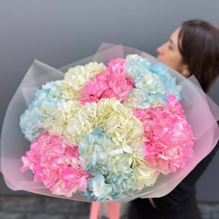 9 гортензий микс в Кирове