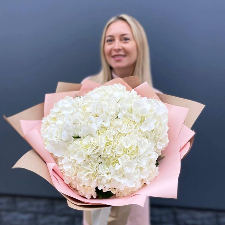 Гортензия белая в Кирове