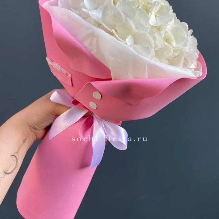 Гортензия в розовом пиджаке в Кирове