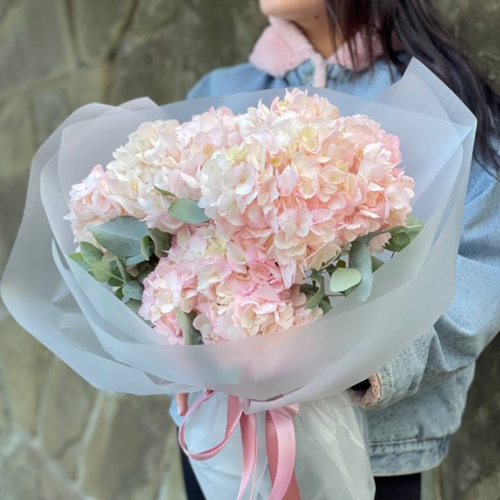 5 розовых гортензий в Кирове