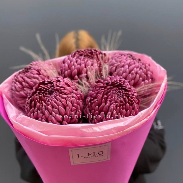 Хризантемы  Бигуди с стифой в Кирове