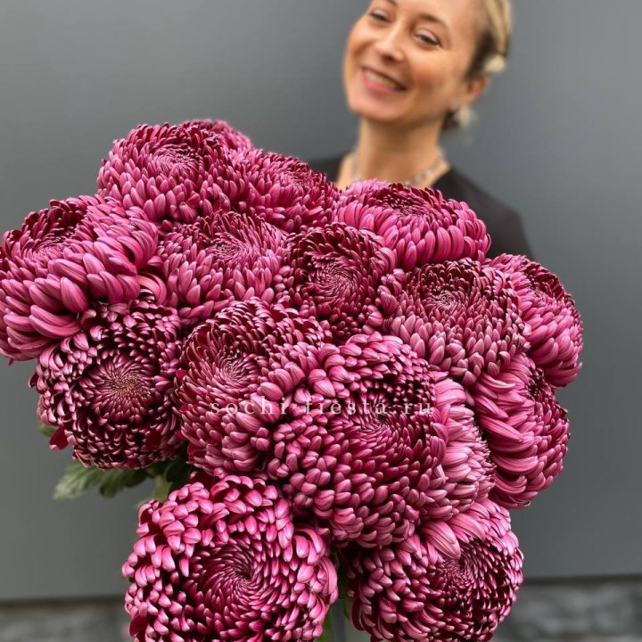 Охапка хризантем Бигуди в Кирове