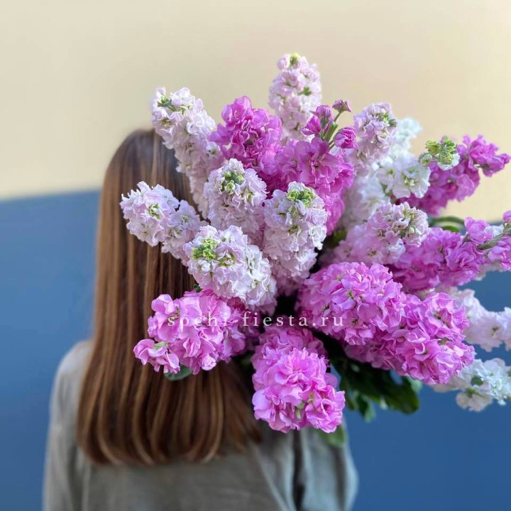 Охапка маттиолы в Кирове