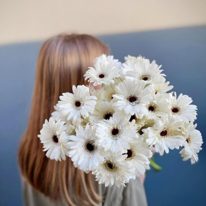 Охапка гербер в Кирове