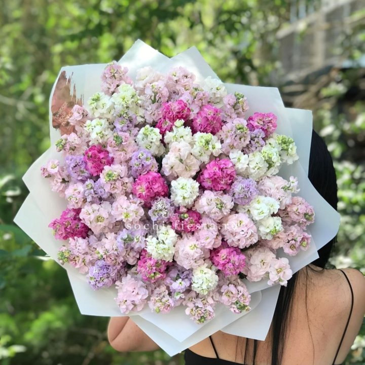 Букет ароматной маттиоллы №3 в Кирове