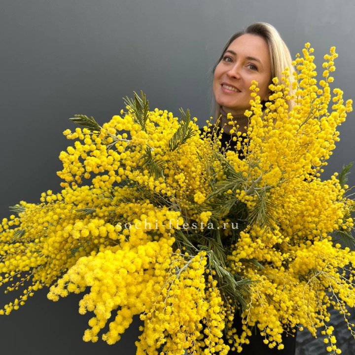 Охапка мимозы №2 в Кирове
