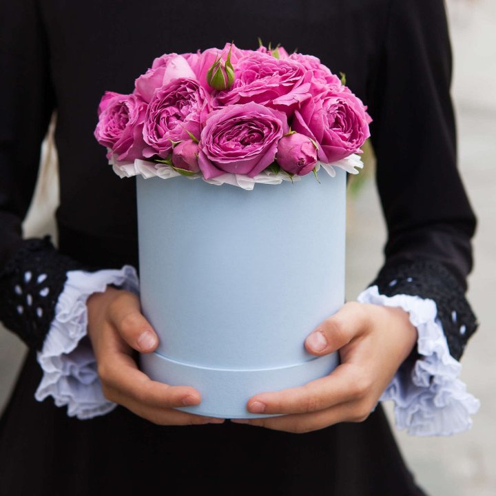 Бокс мини мисти в Кирове