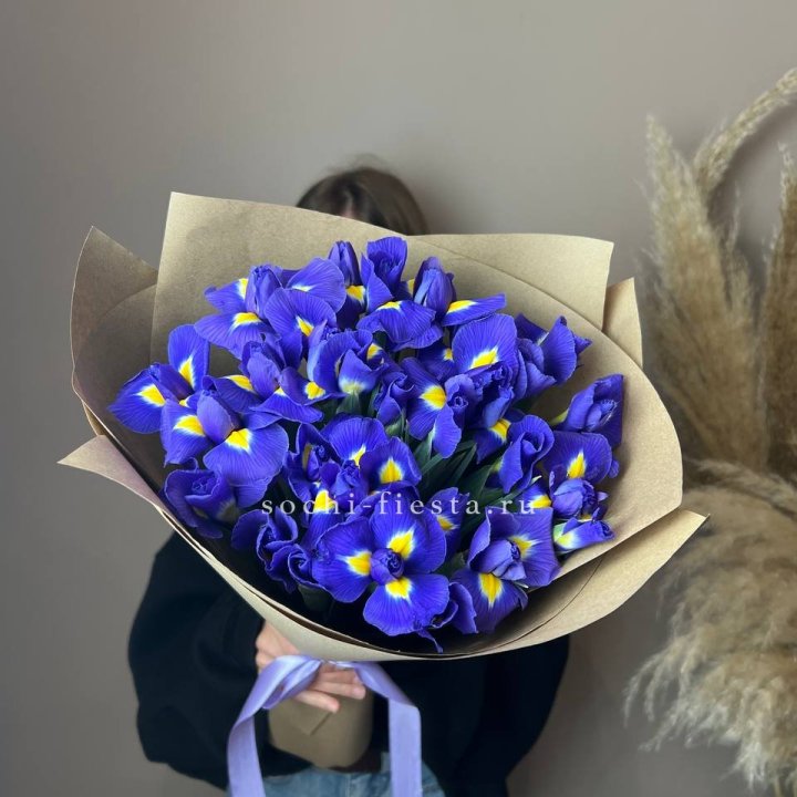 Ирисы в Кирове