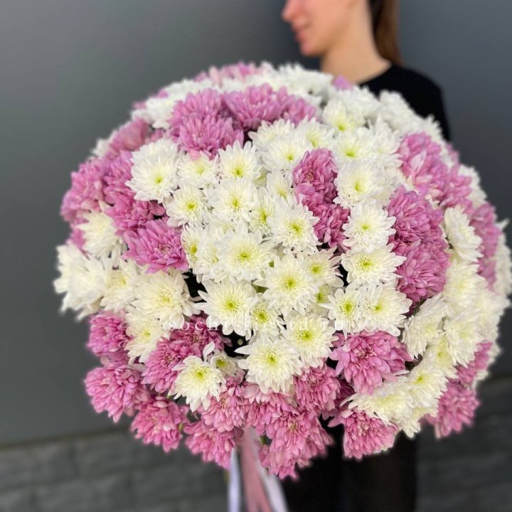  Букет 25 хризантем микс в Кирове