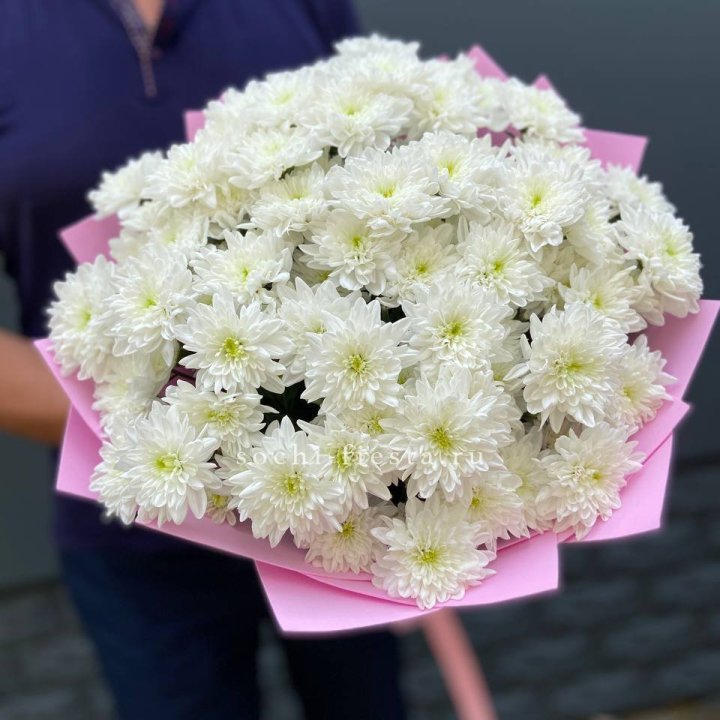  Букет 15 хризантем  в Кирове