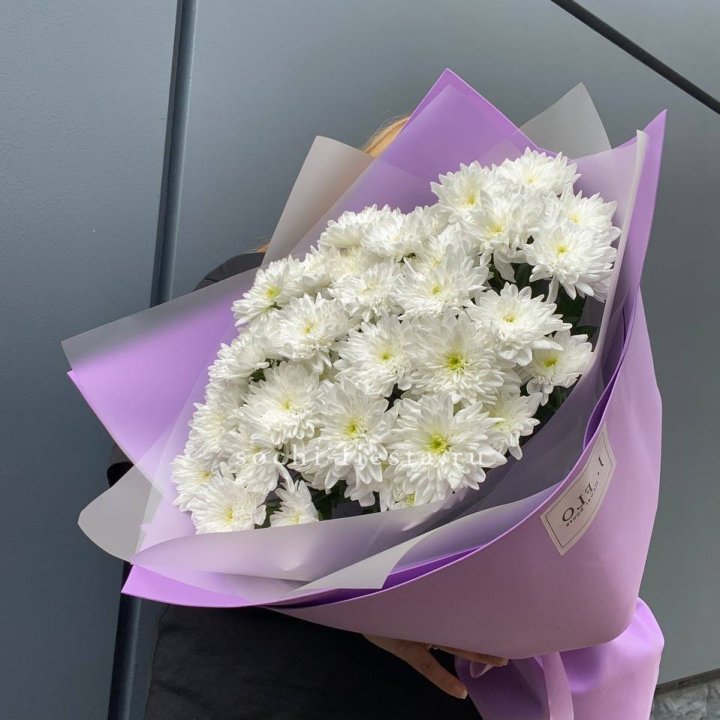  7 хризантем  в Кирове