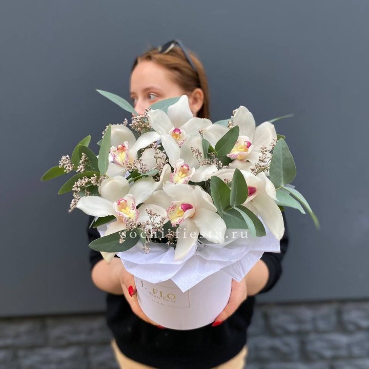 7 орхидей в боксе в Кирове