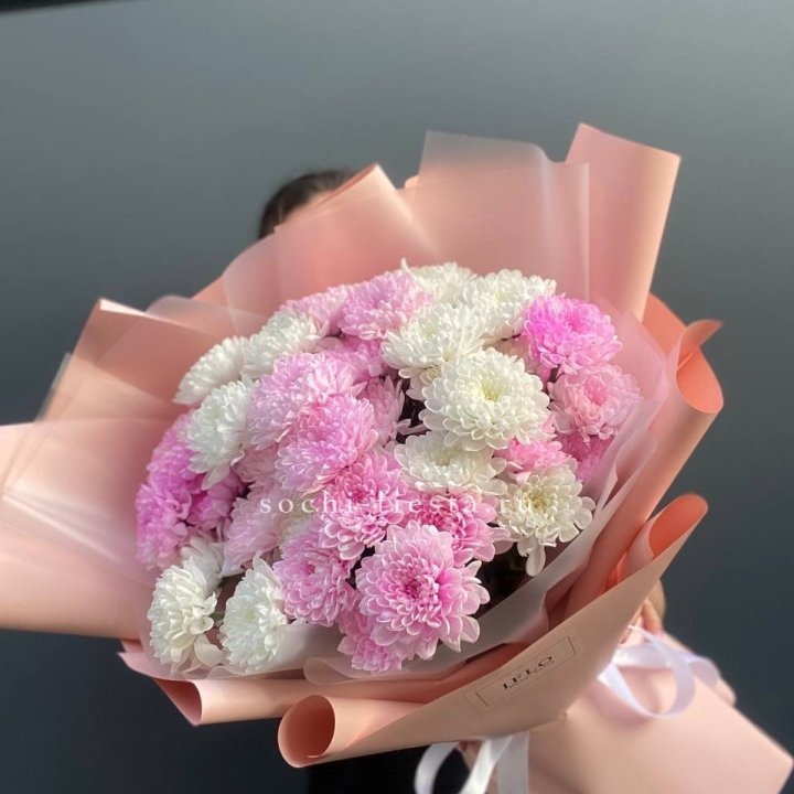  Букет бело-розовых хризантем  в Кирове