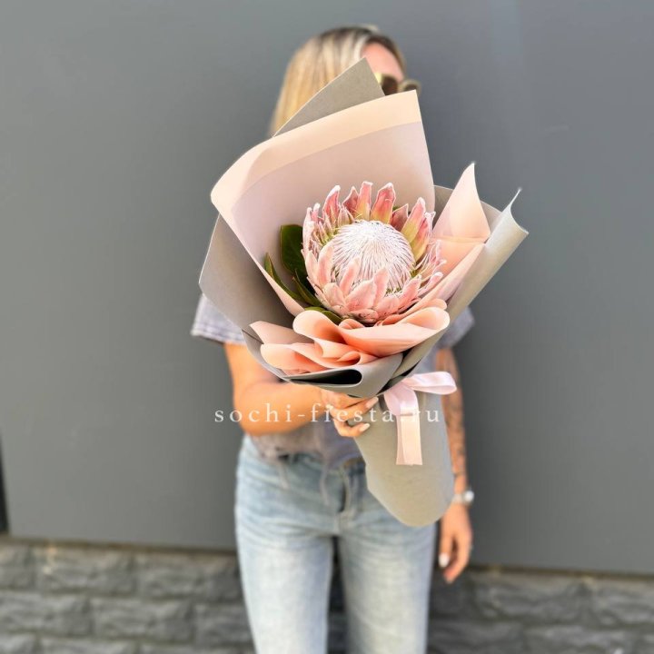 Протея мини  в Кирове