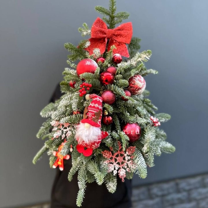 Новогодняя елочка "Ред" в Кирове