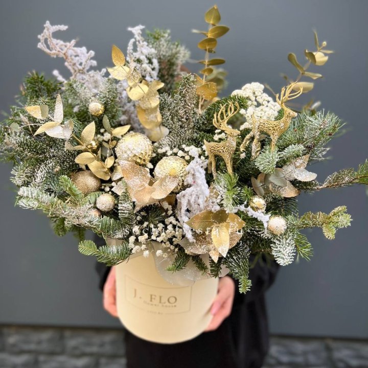 Золотой бокс с нобилисом в Кирове