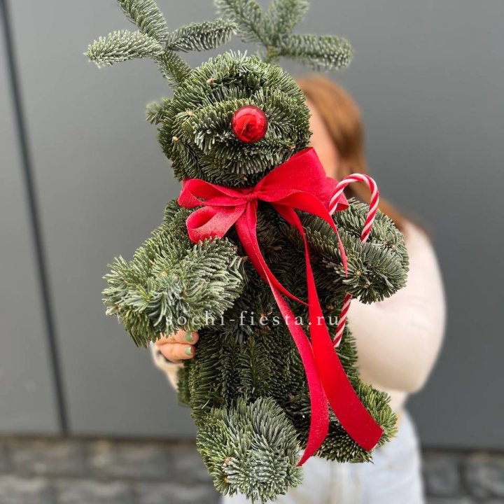 "Олень" из нобилиса в Кирове