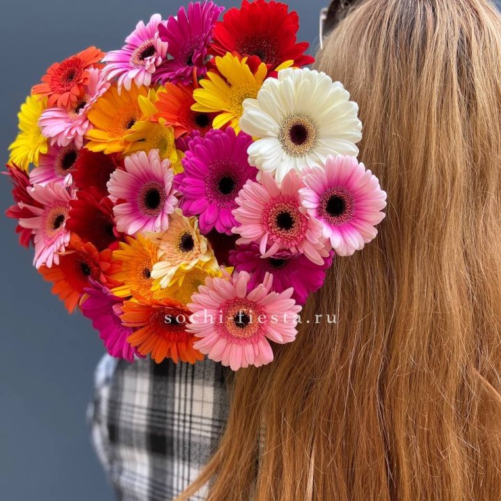 Охапка гербер  в Кирове