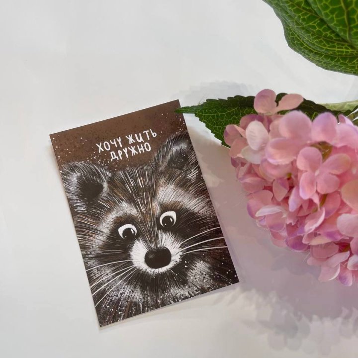 Открытка к букету "Енотик" в Кирове