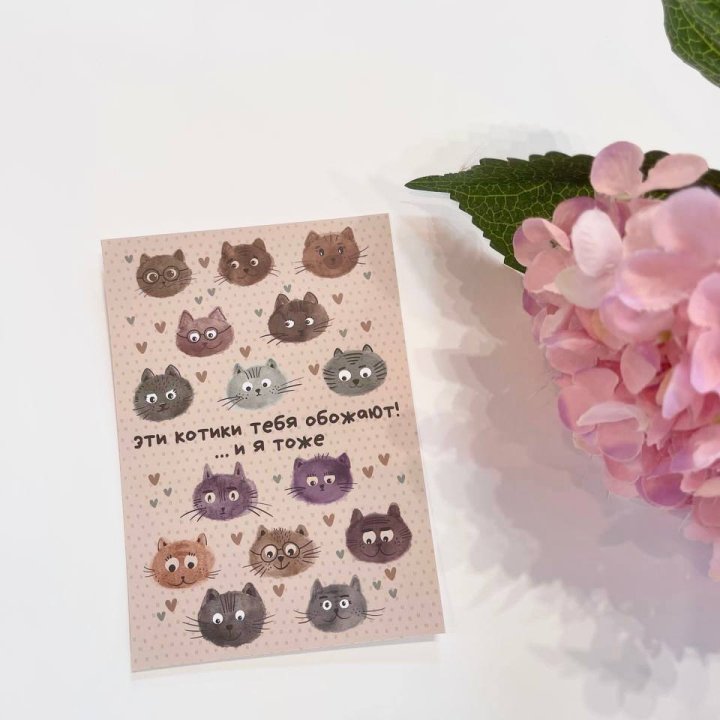 Открытка к букету "Котики" в Кирове