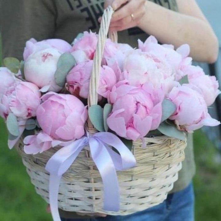 15 пионов в корзине в Кирове