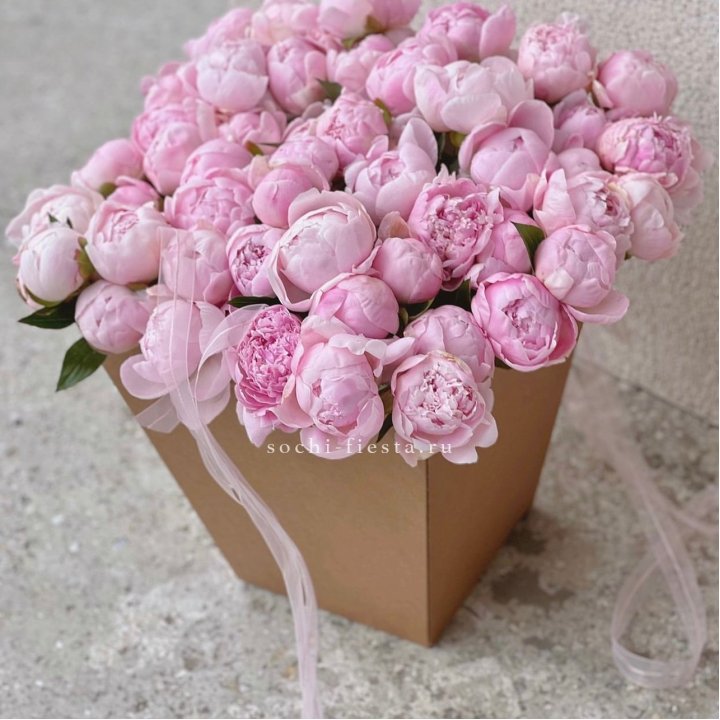 49 пионов в крафт коробке в Кирове