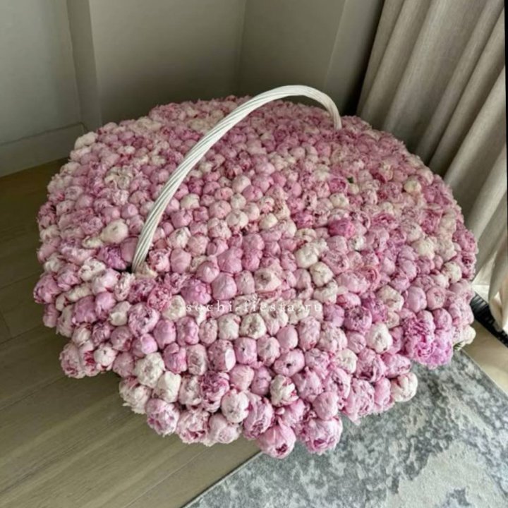 Корзина 555 пионов в Кирове