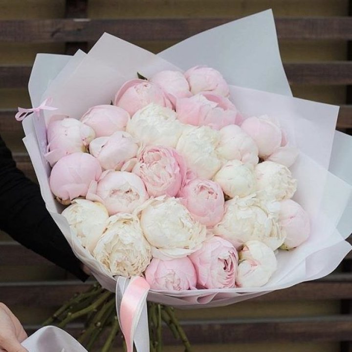 29 пионов в Кирове