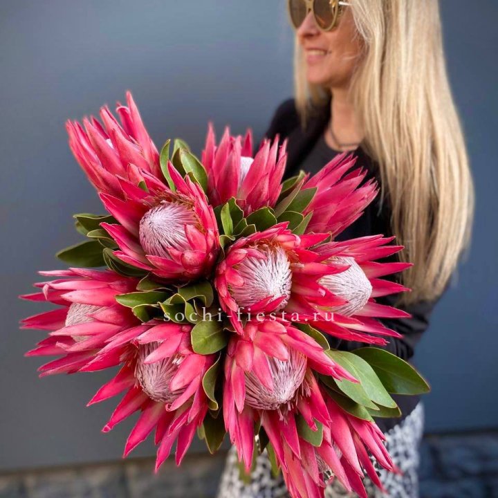 Протея штучно в Кирове