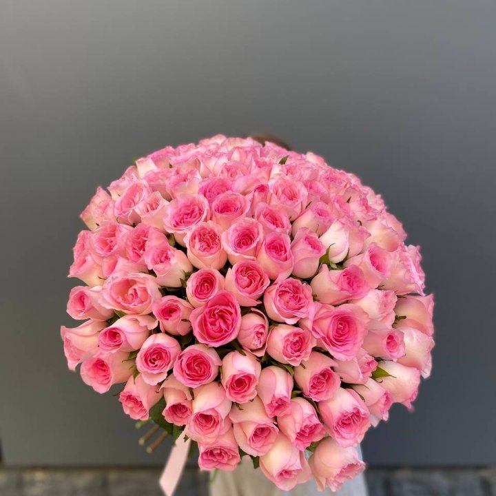 101 розовая роза в Кирове