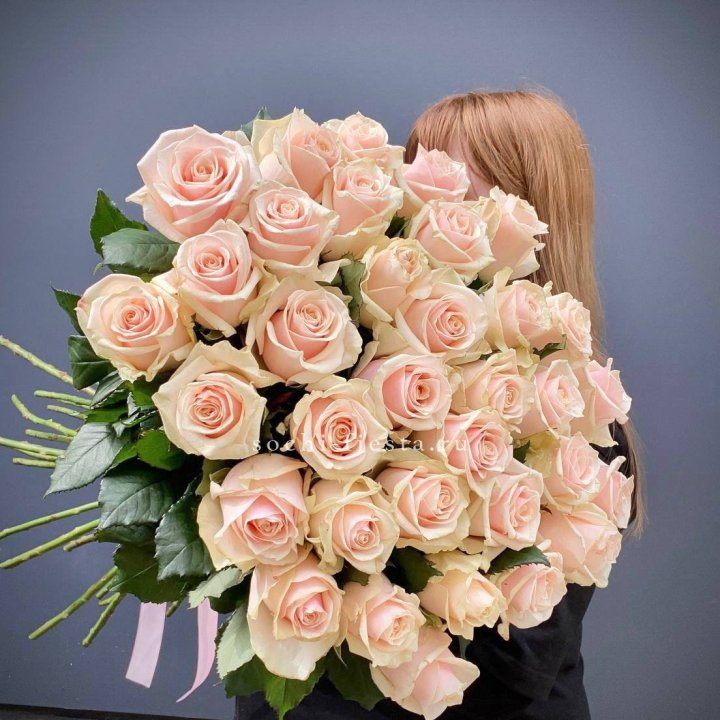 35 кремовых высоких роз в Кирове