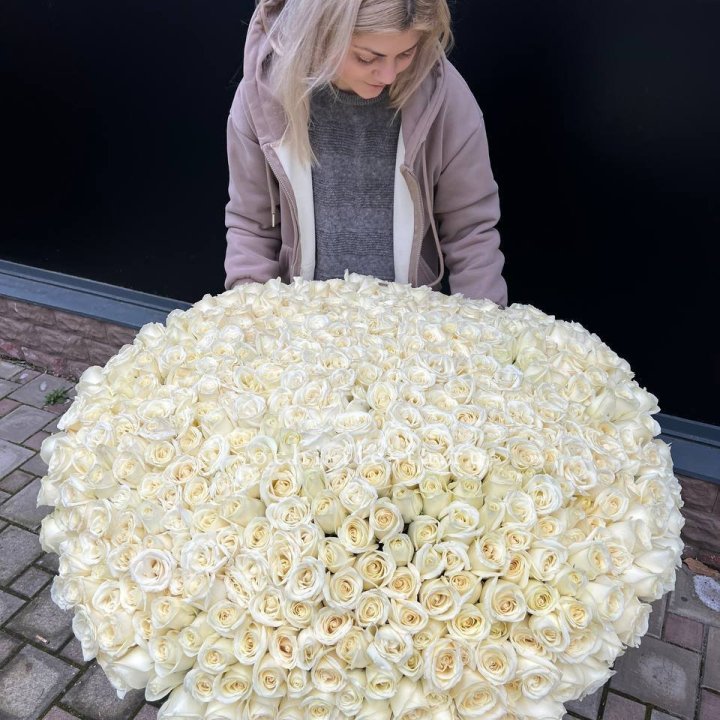 501 белая роза в корзине в Кирове