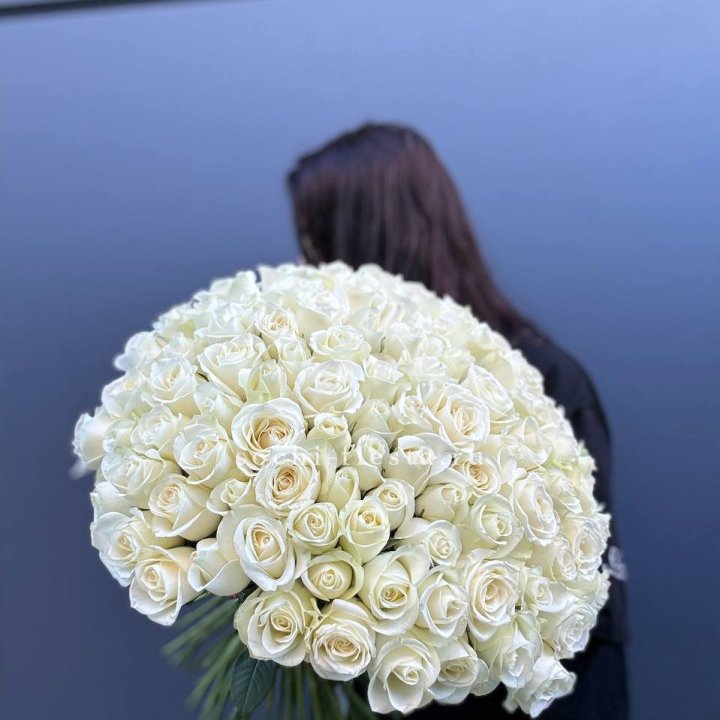 Охапка из 101 белой розы  в Кирове