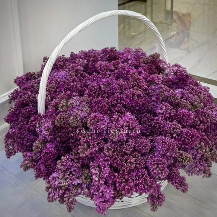 Корзина сирени в Кирове