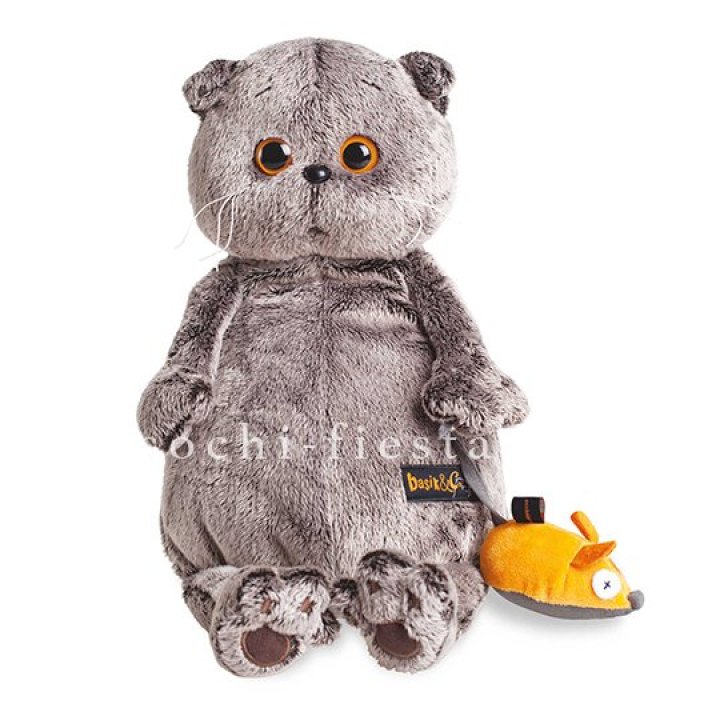 Кот Басик с мышкой в Кирове